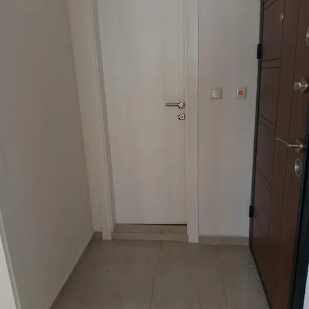 Hrizantema Horizontm