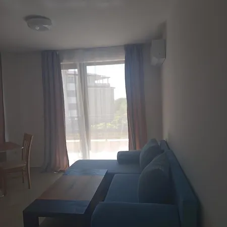 Hrizantema Horizontm Sveti Vlas